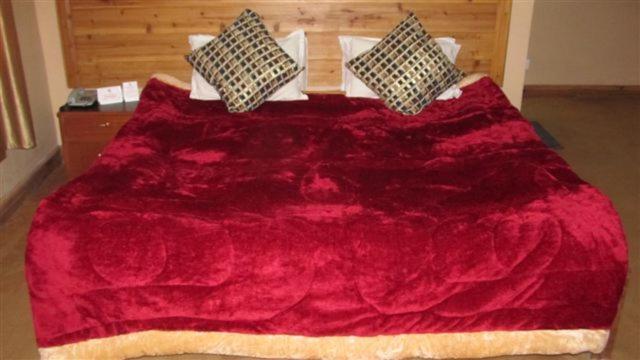 Golden Dolma Hotel Darjeeling  Bilik gambar