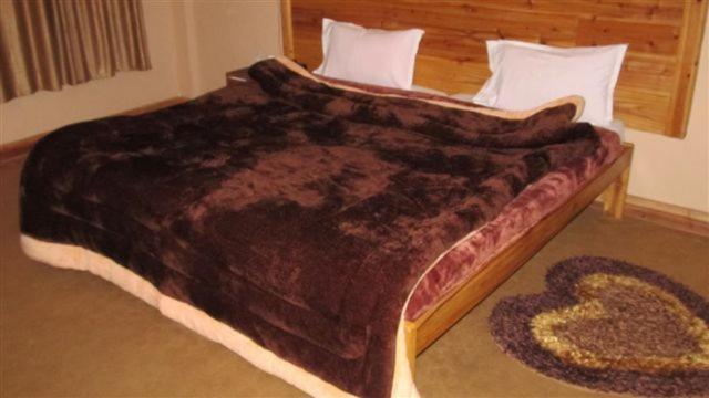 Golden Dolma Hotel Darjeeling  Bilik gambar